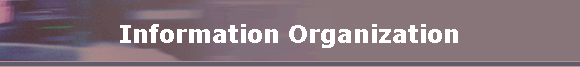 Information Organization
