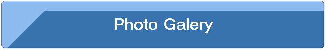 Photo Galery