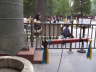 Donnerstag, 14.08.08. Peking. Der Chinesische Nationalit�ten-Park